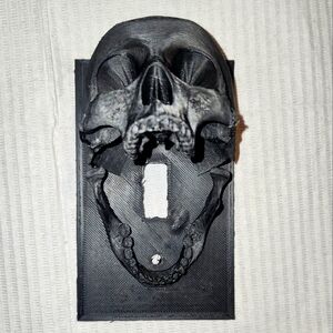 Skull head lights witch plate